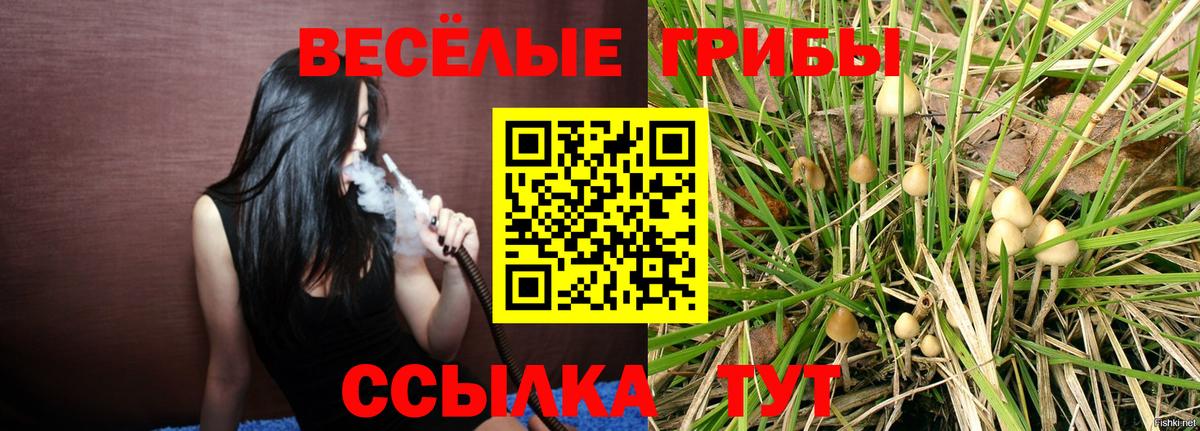 Псилоцибиновые грибы GOLDEN TEACHER  Галлюциногенные грибы GOLDEN TEACHER  Вход с VPN  Санкт-Петербург 
